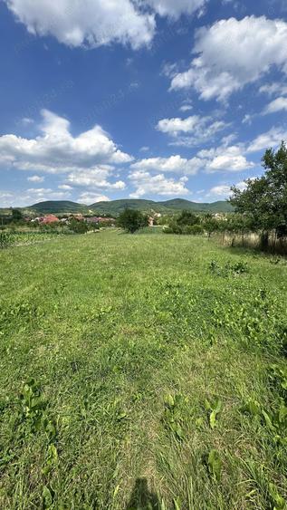 Vand Casa Batarci - 5