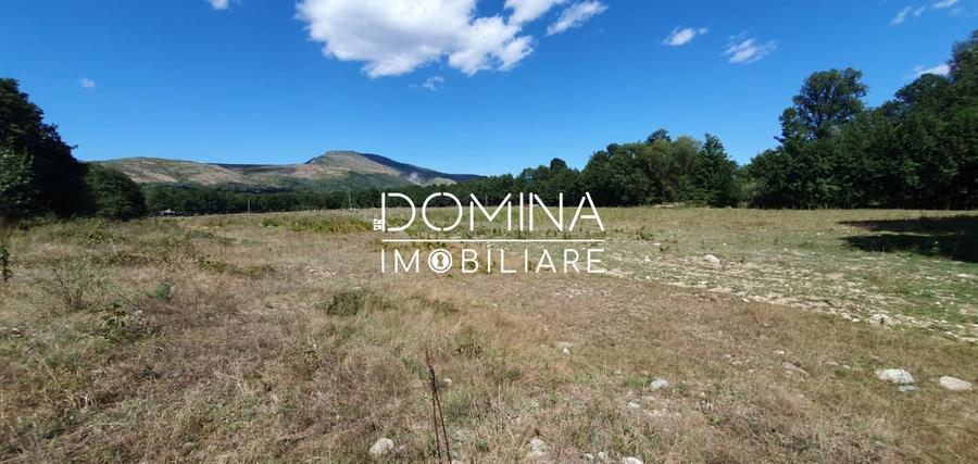 Inchiriere loturi de teren in Comuna Runcu – sat Sanatesti - 7