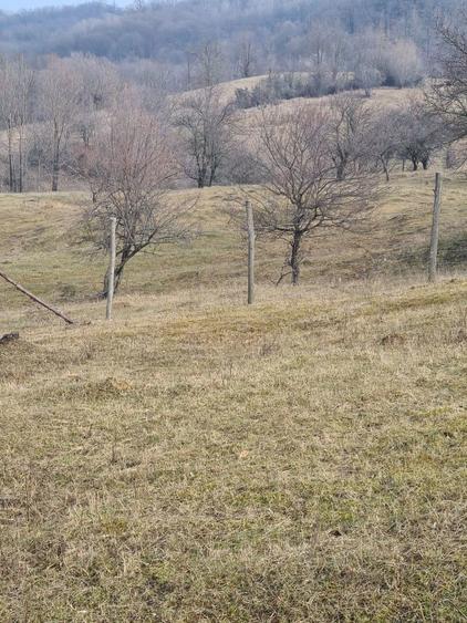 Teren Intravilan - 3