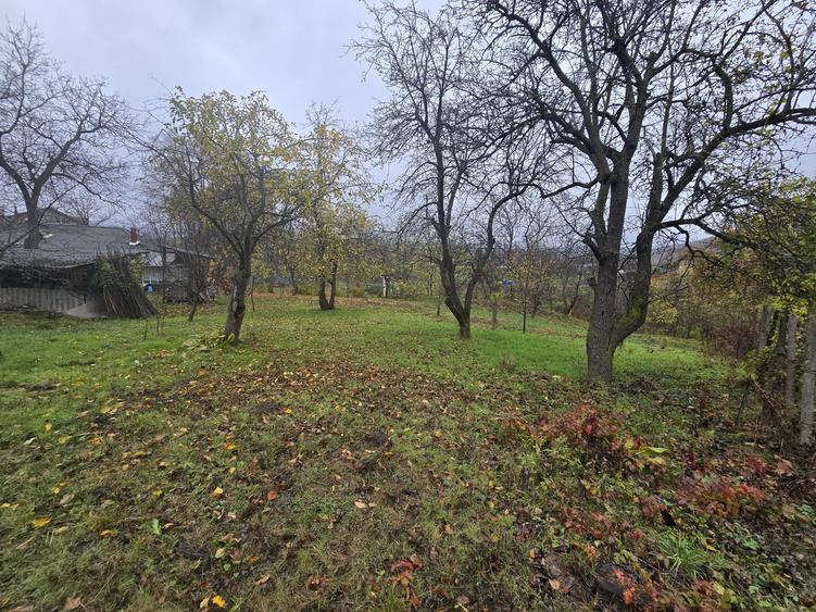 Teren 1000 mp Intravilan - 3