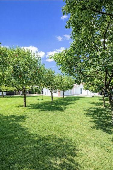 Vand casa+teren Snagov - 6