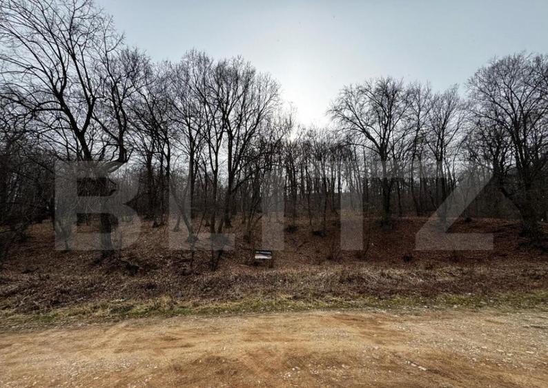 Teren intravilan de vanzare, 1872 mp, zona Valea Popii - Alb - 3