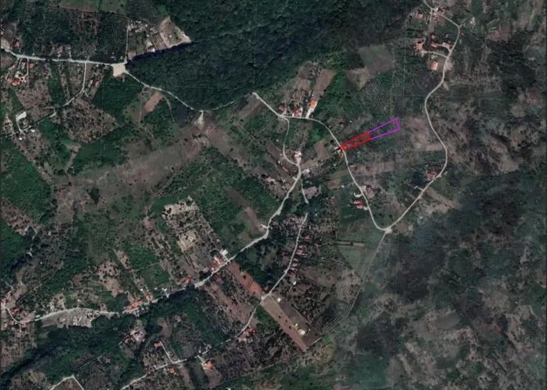 Casa cu teren generos - Podgoria - IMOBIHOR - 1