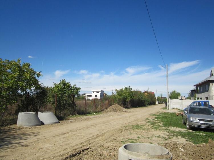 Domnesti Teghes-Padurarului - 4