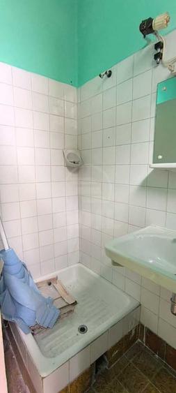 Casa zona Hasdeu - langa UMF - 10