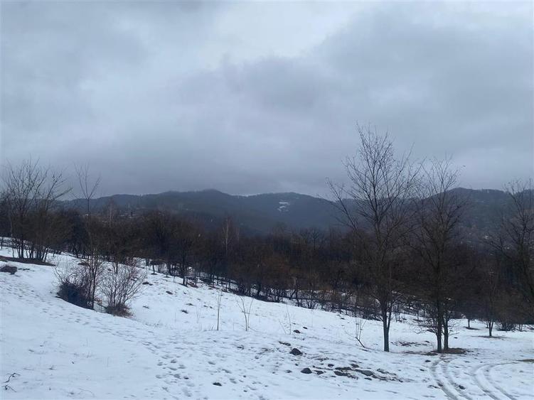 TEREN VALEA DOFTANEI - 4