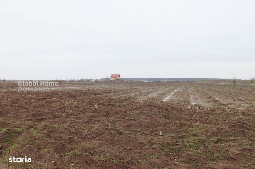 Teren 4000 mp langa Padurea Petresti | Investitie dezvoltare | Corbean - 7