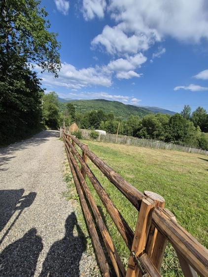 Vand 1200 mp teren parcelabil in Valea Doftanei . Prahova - 7