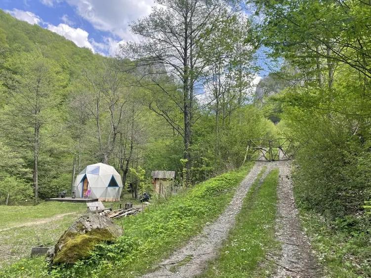 Oportunitate unica ! Proprietate in parc na?ional pe malul Cernei ! - 2