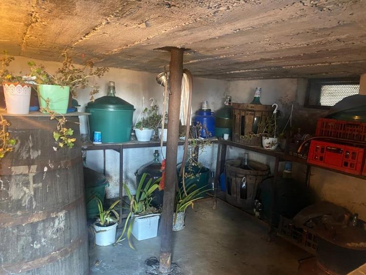 Gospodarie cu doua case si teren generos la tara – Șomanesti, Gorj - 9