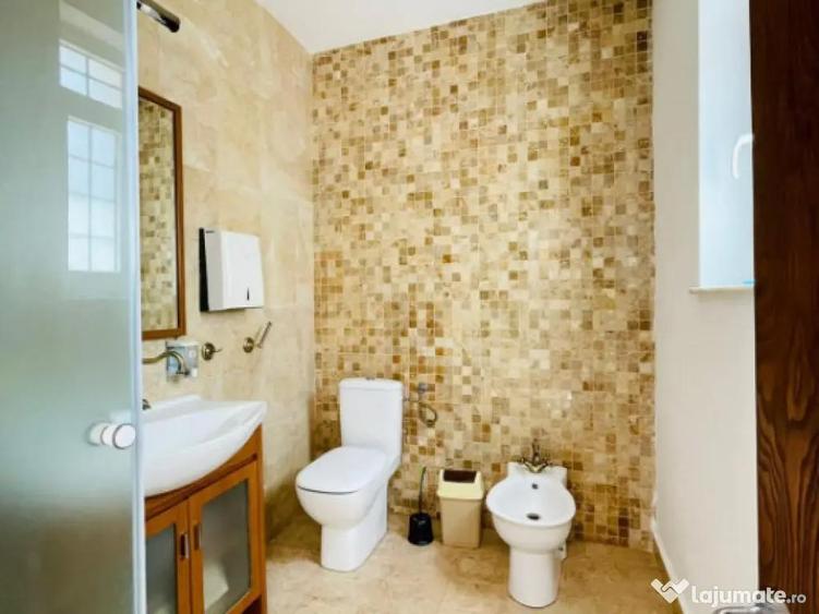 Parcul Carol I Vila de inchiriat pentru birouri - 2