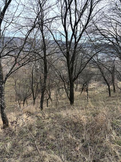 Teren de vanzare Fieni Dambovita - 6