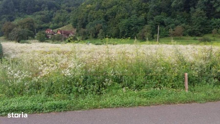Teren intravilan de vanzare 5735 mp Ribita - 6