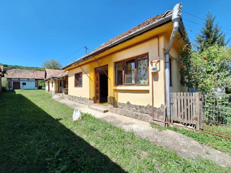 Casa de vanzare cu teren in Cinta - 4