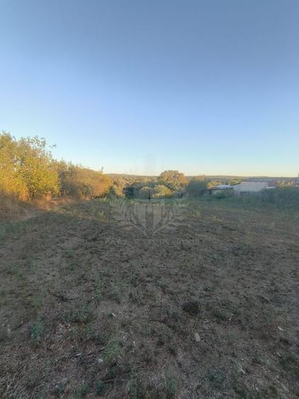 TEREN INTRAVILAN  PLOPU//3000 MP - 1