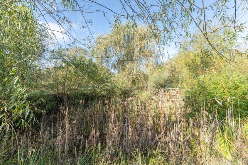 Proprietate rara in Covasna - liniste, spatiu si potential de investitie - 44