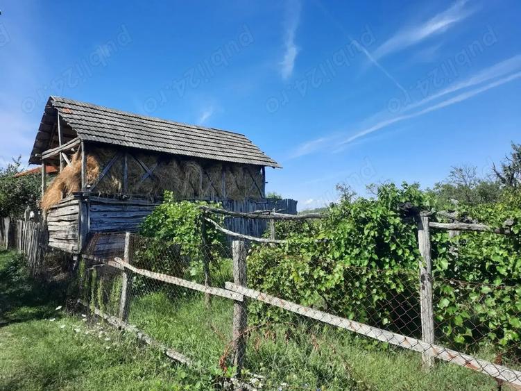 Casa de vanzare cu teren - 6