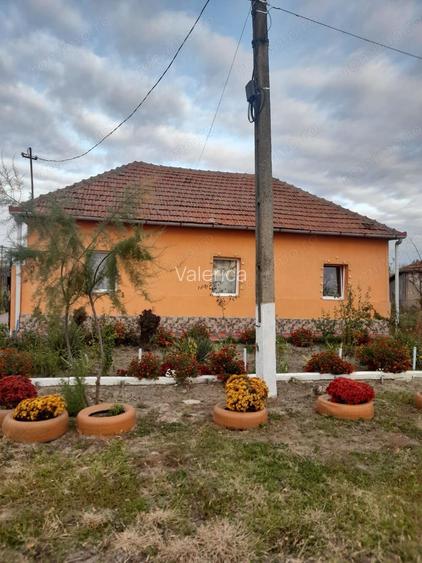 Vand casa in Avram Iancu (Cermei) Vand casa in Avram Iancu (Cermei)