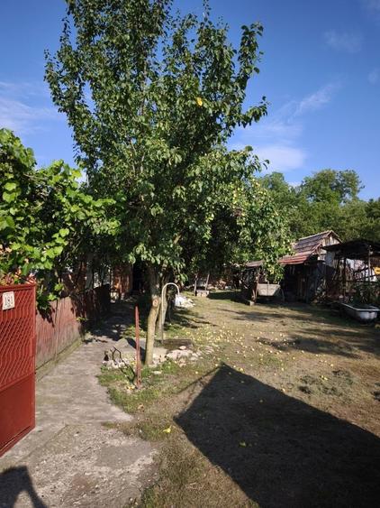 Casa de vanzare la tara - Sat Boian, Comuna Ceanu Mare cu teren 40 ari - 2