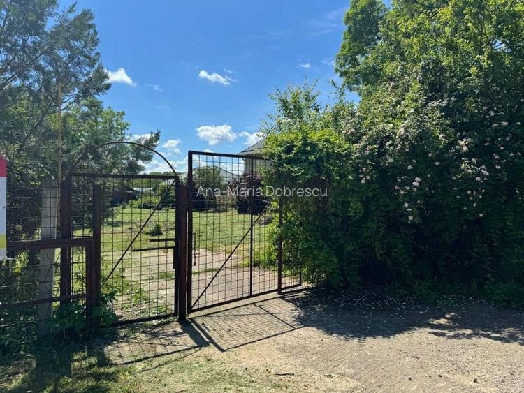 Teren Snagov – Ideal pentru dezvoltare rezidentiala sau investitie!