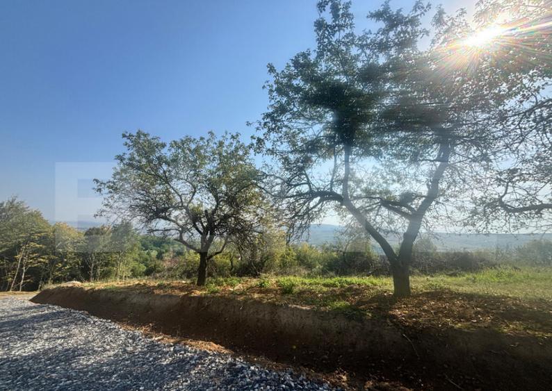 Teren de vanzare in Viisoara - 2