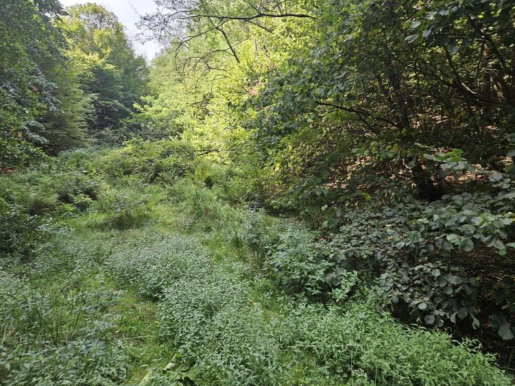 Vand teren Costesti, jud. Hunedoara - 2