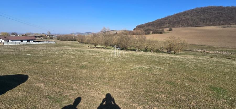 Teren 4 362 Mp Intravilan de Vanzare, Str Caprioarei, Sangeorgiu de Ms - 8