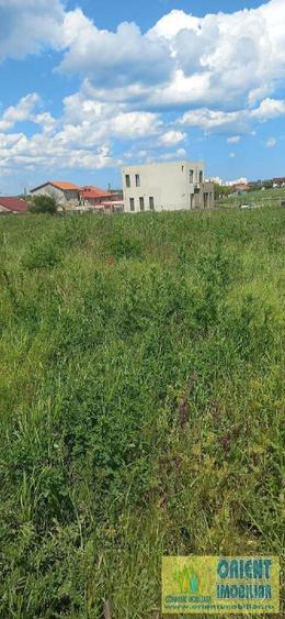 Techirghiol, teren 2.496mp, extravilan - 9