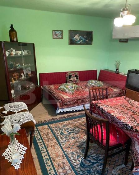 Casa batraneasca, locuibila, Podari, teren 1050 mp - 5