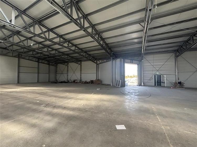 Vanzare depozit/hala/spatiu industrial Mogosoaia - Buftea - 8