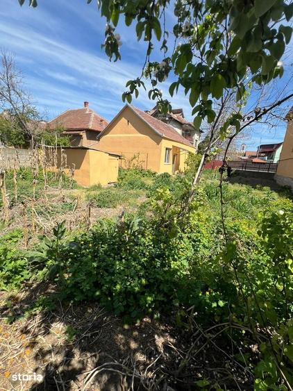 Casa modesta cu teren in zona Jysk Carei - 2