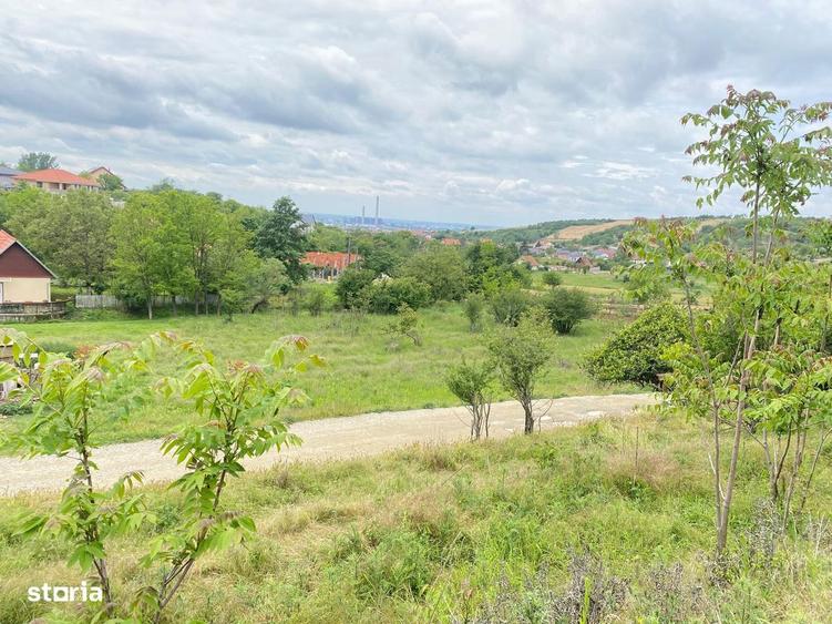 Teren intravilan 867 mp Paleu, zona str. Padurii zona Oncea - 3
