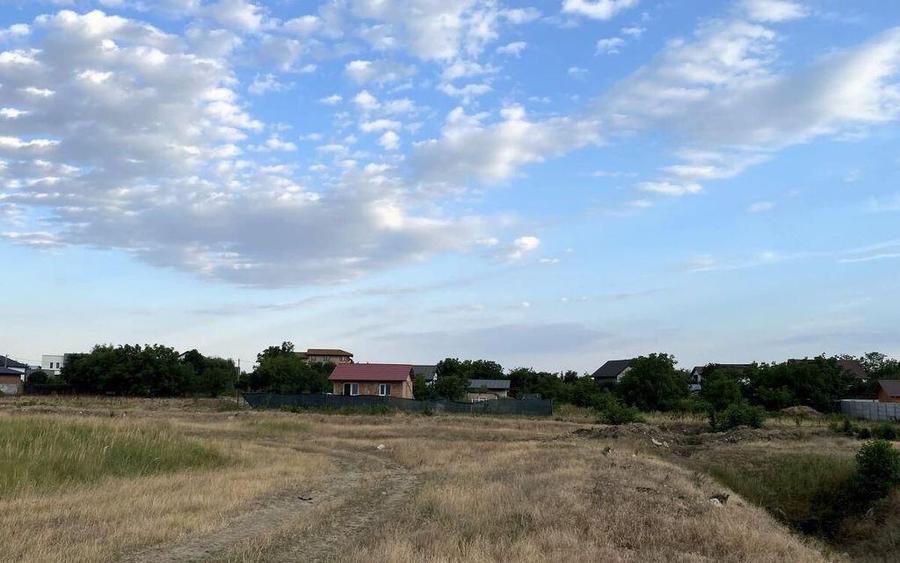 Tamasi, langa padure, 12.824 mp, deschidere 45 ml, teren ... - 12