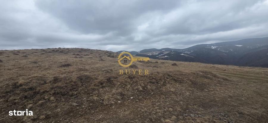 Teren investitie Paltinis - 3