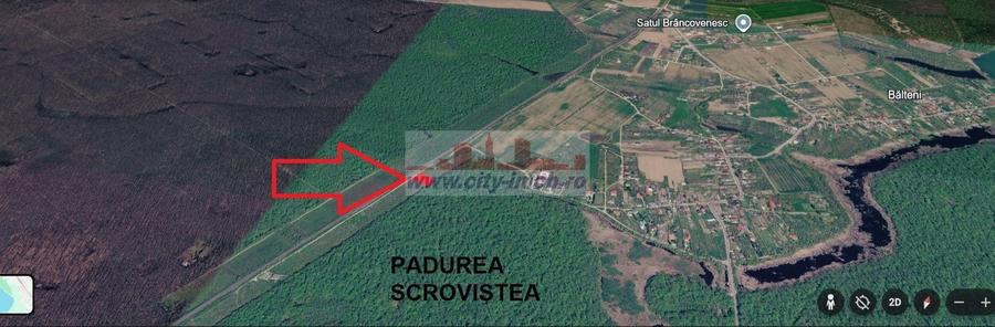 VANZARE TEREN, Sat.Balteni, com. Peris, Padurea Scrovistea, jud IIlfov - 10