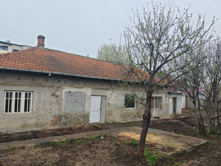 Casă cu 4 camere în Radu Negru
