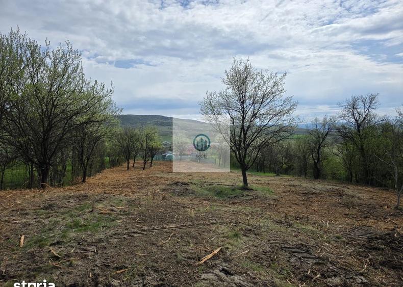 Teren agricol extravilan de 6704 mp, în Hărău
