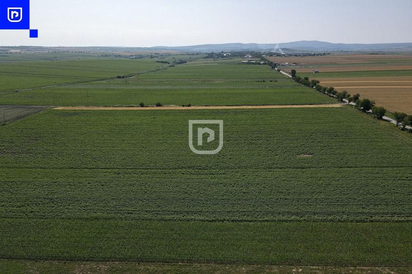 Teren agricol extravilan de 10000 mp, în Orășeni-Deal