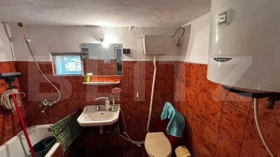 Proprietate cu 2 case, 3.345 mp teren, Balota de Jos, comuna Murga?i - 7