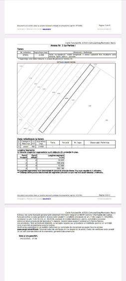 Teren in Salistea Noua - Com Baciu 2458mp - 5