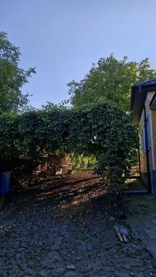 Vand casa Budacu de Jos - 7