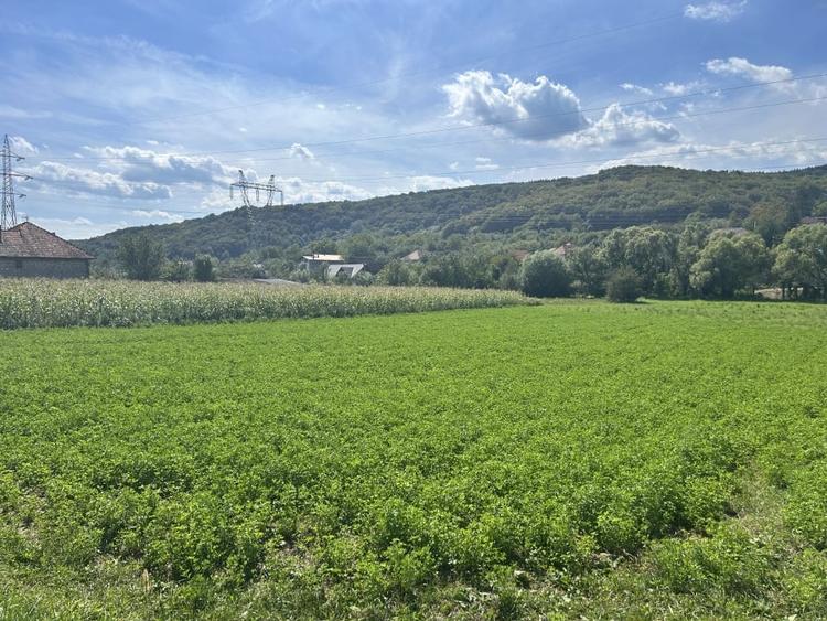 Teren intravilan 2.000 mp front 36ml Popesti Vale - 1