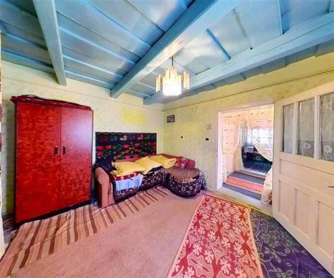 Tur 3D! Casa traditionala+ domeniu de 4.300 mp,livada,anexe:refugiu apreciabil C - 6