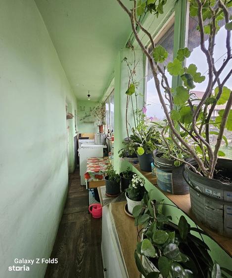 Teren cu casa renovabila oportunitate excelenta in Episcopia Bihor - 10