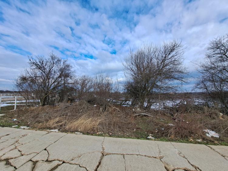 TEREN SNAGOV LANGA ARTIST THE BARN - 1