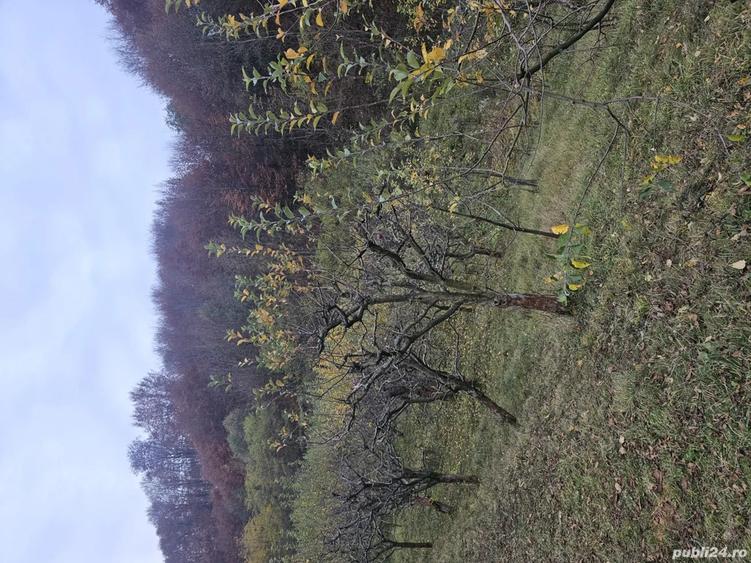 vand casa si teren - 7