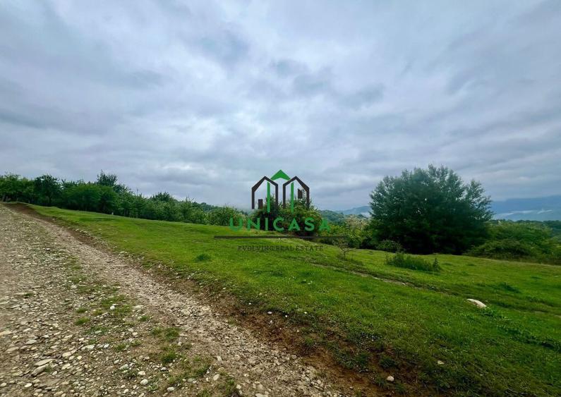 Teren 3507 mp/ Seaca/Calimanesti - 2