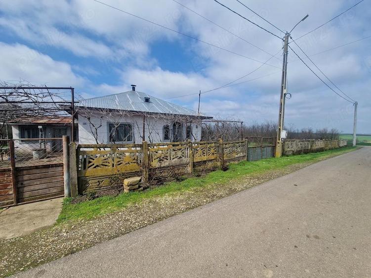 Casa de vanzare 2170mp - 3