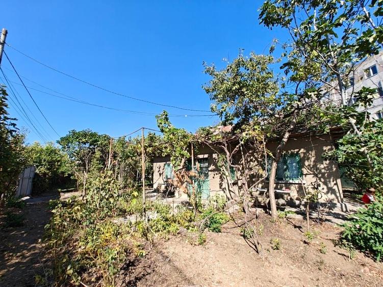 VANZARE TEREN MANGALIA - 7