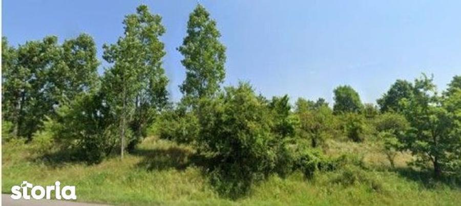 Teren cota parte 1/3 Cocorastii Mislii, ID: R2949920 - 3